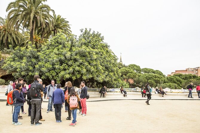 Park Guell Guided Tour with Skip the line Ticket - The lower court and 86 Doric columns