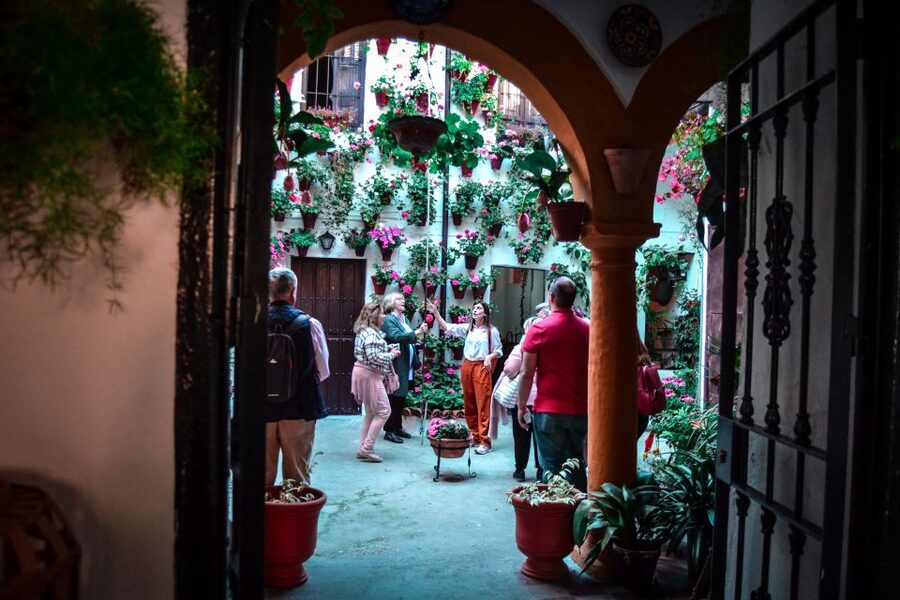 Patios of Cordoba Walking Tour - Why Cordoba’s patios are worth your time