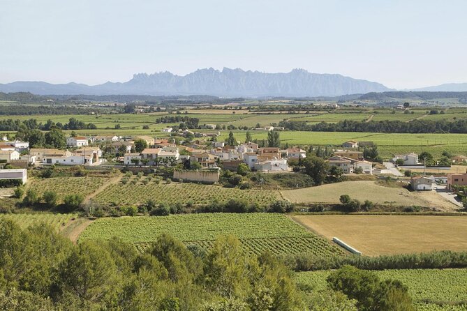 Penedes Wine & Cava Tasting & 4WD Vineyards Tour from Barcelona - From Passeig de Gràcia to the Penedès vineyards
