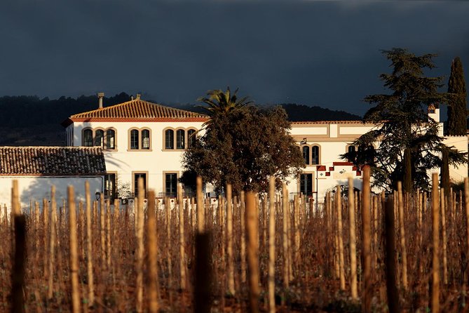 Penedes Wine & Cava Tasting & 4WD Vineyards Tour from Barcelona - The tastings: more education than party