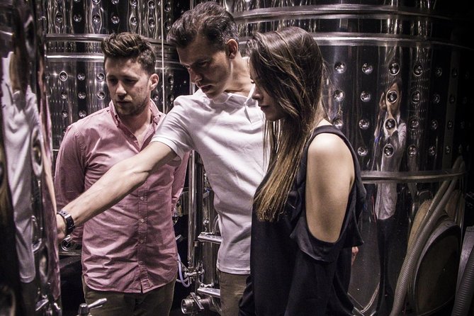 Penedes Wine & Cava Tasting & 4WD Vineyards Tour from Barcelona - Time, comfort, and group size