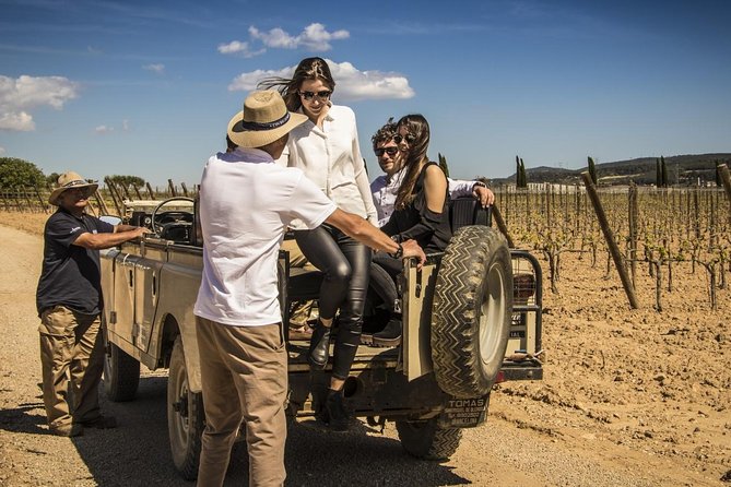 Penedes Wine & Cava Tasting & 4WD Vineyards Tour from Barcelona - Who will enjoy this Penedès day trip?