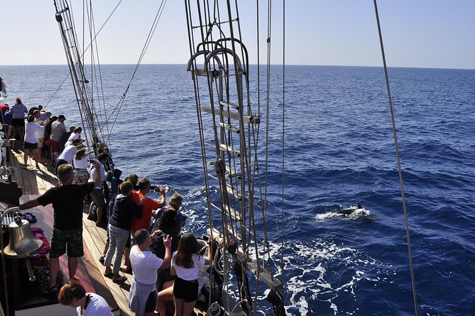 Pirate Adventure Boat Tour with Lunch in Fuerteventura - Who should book this pirate cruise?