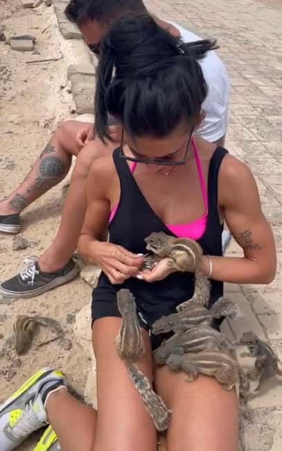 Popcorn Beach, Isla de Lobos y Dunas: ¡Popcorn Beach! - Feeding Fuerteventura’s chipmunks