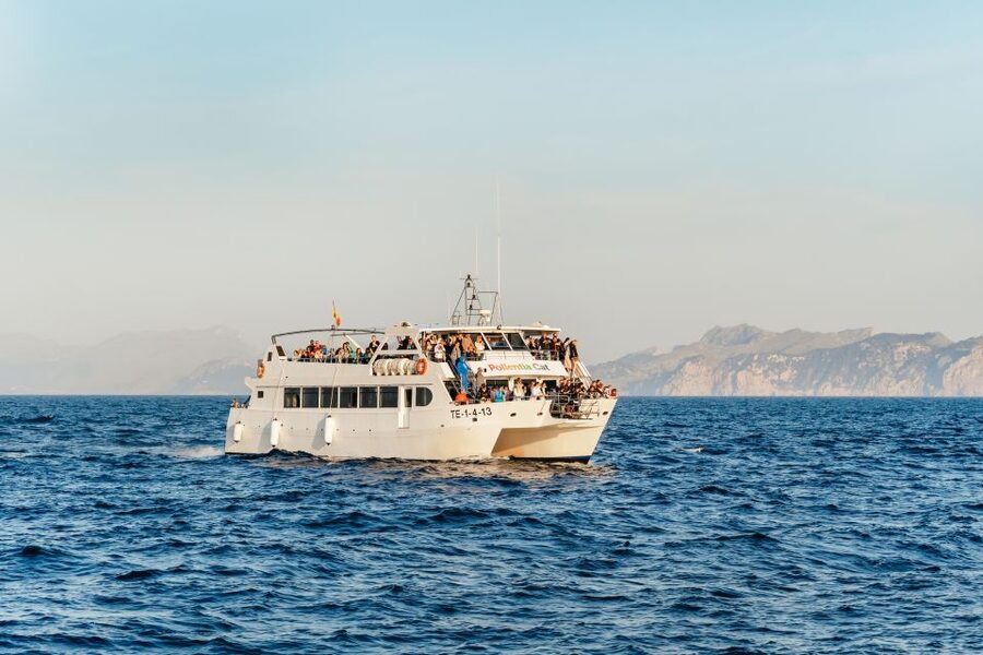 Port d'Alcudia: Sunrise at Sea & Dolphin Watching Boat Tour - Key points to know before you sail