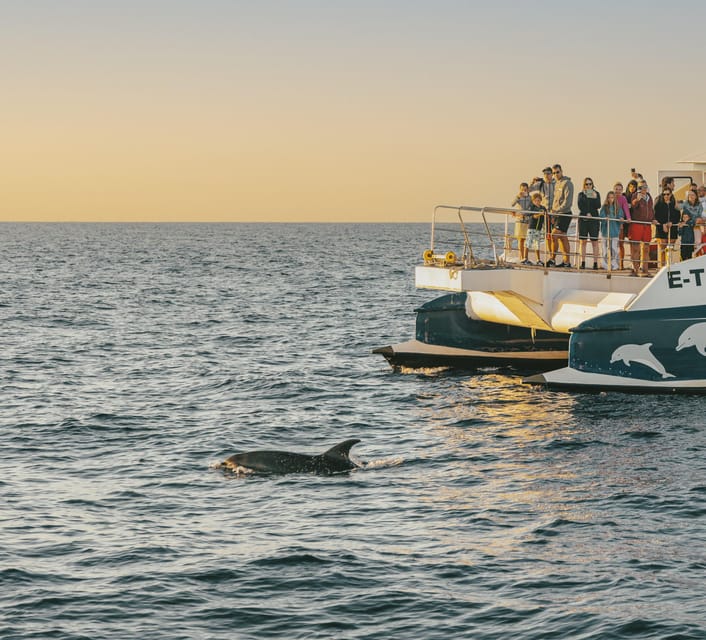 Port d'Alcudia: Sunrise at Sea & Dolphin Watching Boat Tour - Leaving Puerto de Alcúdia before sunrise