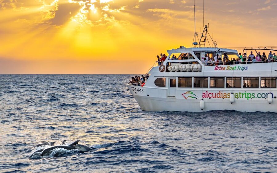 Port d'Alcudia: Sunrise at Sea & Dolphin Watching Boat Tour - Sunrise over Mallorca’s north coast