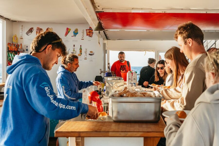 Port d'Alcudia: Sunrise at Sea & Dolphin Watching Boat Tour - Is $69 a fair price?