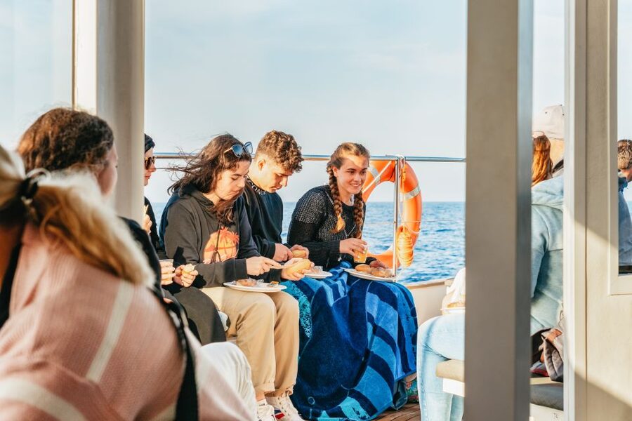 Port d'Alcudia: Sunrise at Sea & Dolphin Watching Boat Tour - Who will enjoy this morning best?