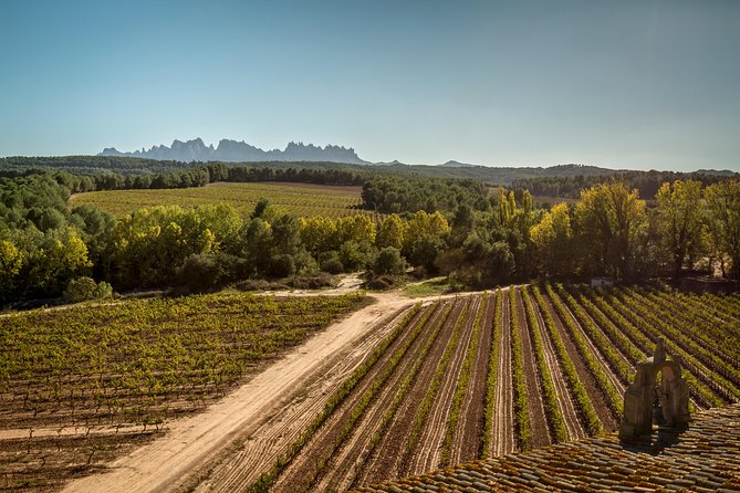 Premium Montserrat & Wine Full Day Tour from Barcelona - Transportation, group size, and the long day