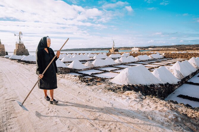 Private and Guided Tour to the Salinas de Janubio with Tasting - Salt pans, black volcanic ground, and bird life