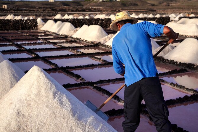 Private and Guided Tour to the Salinas de Janubio with Tasting - The tasting at Bodega de la Sal