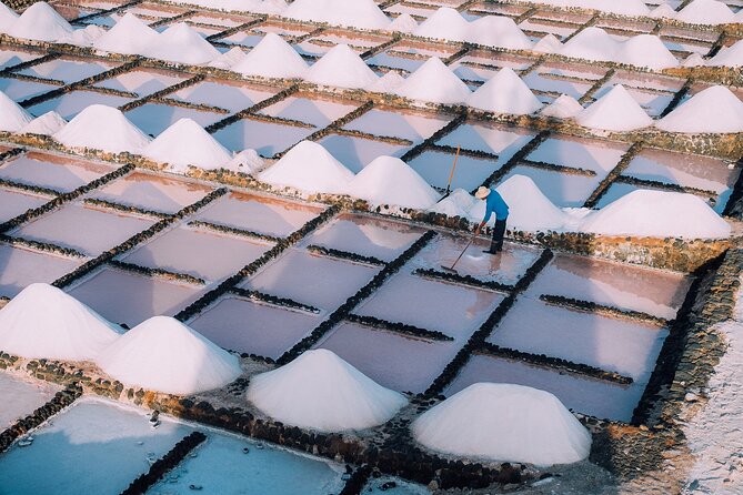 Private and Guided Tour to the Salinas de Janubio with Tasting - Following seawater from pond to salt crystal