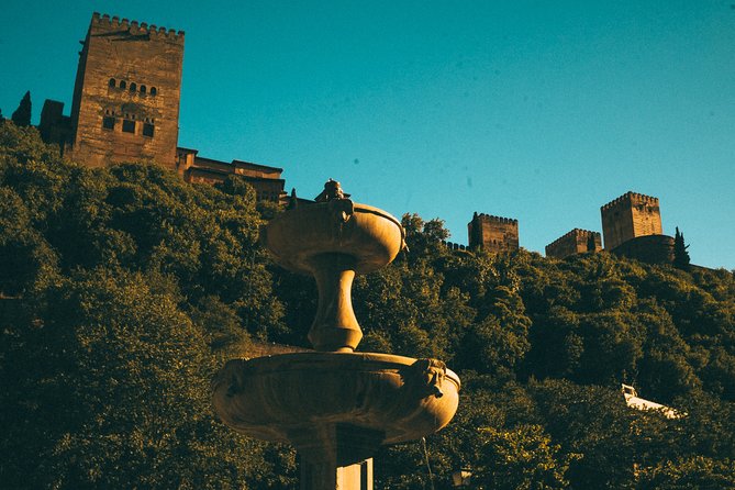 Private Tour to The Alhambra with Nasrid Palaces in Granada - The Nasrid Palaces are the tour’s main prize