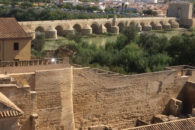 Private Visit Mosque-Cathedral, Jewish quarter, Alcazar and Synagogue - Finishing at the Alcázar Gardens