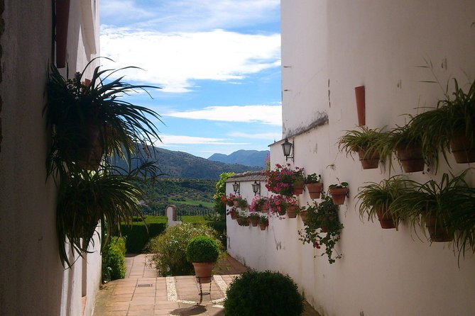 Private White Villages & Ronda Day Tour from Seville - Grazalema and the Sierra de Grazalema Natural Park