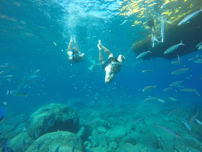 Puerto de Mogan: Boat and Snorkeling Trip - Key points to know before booking