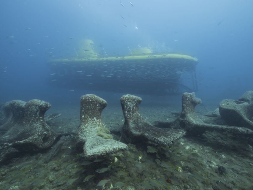 Puerto de Mogán: Submarine Tour - The 40-minute route and onboard atmosphere