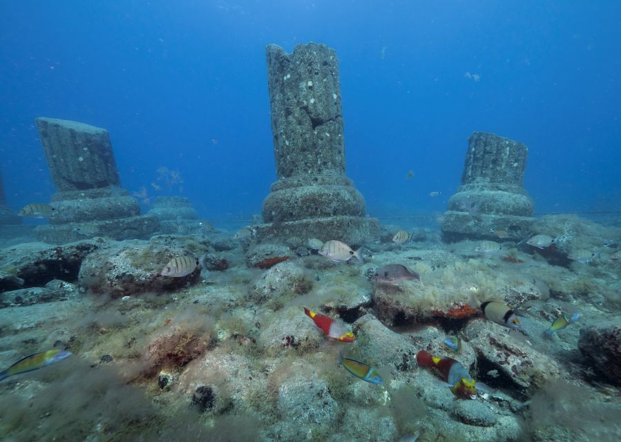 Puerto de Mogán: Submarine Tour - Is the $45 price good value?