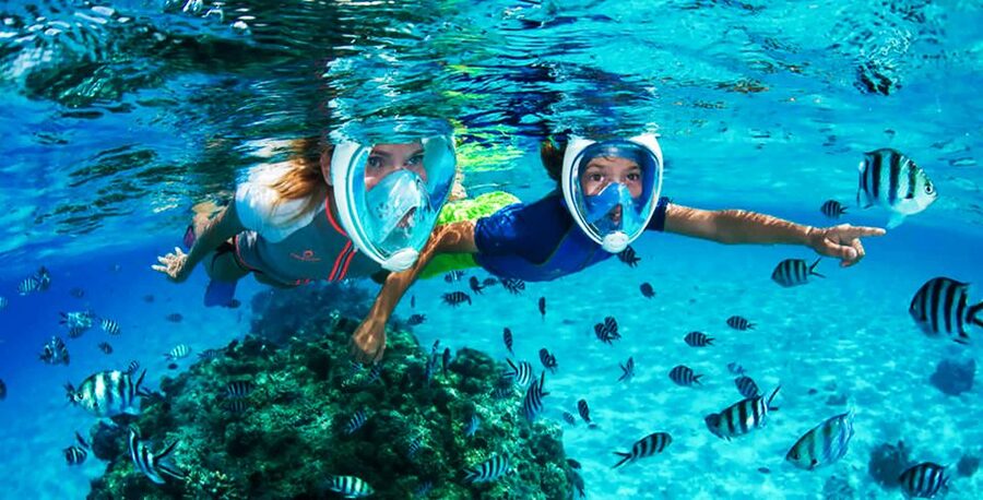 Puerto del Carmen: Dolphin-Watching Speedboat Tour with Swim - The swim stop in clear Atlantic water