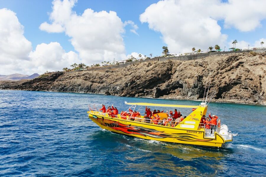 Puerto del Carmen: Dolphin-Watching Speedboat Tour with Swim - Is $41 a fair price?