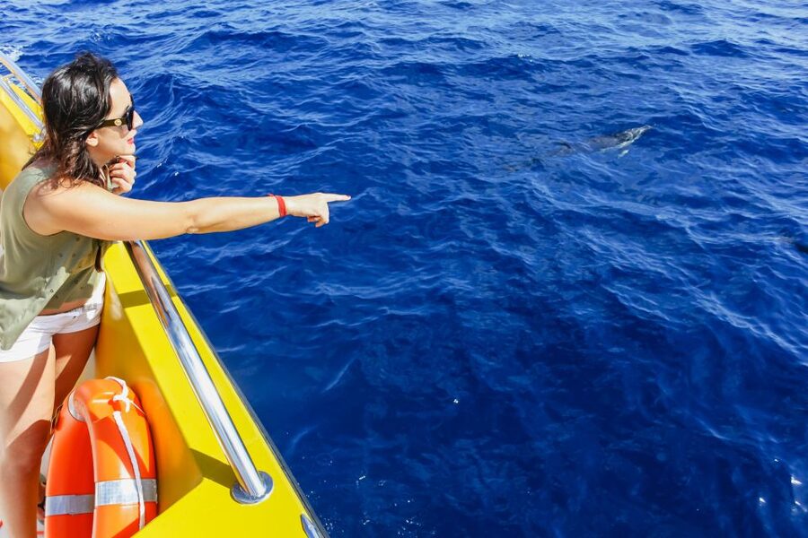 Puerto del Carmen: Dolphin-Watching Speedboat Tour with Swim - Who will enjoy this trip most?