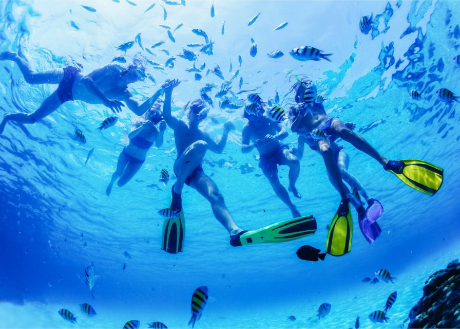 Puerto del Carmen: Dolphin-Watching Speedboat Tour with Swim - Practical ways to improve your chances of enjoying it