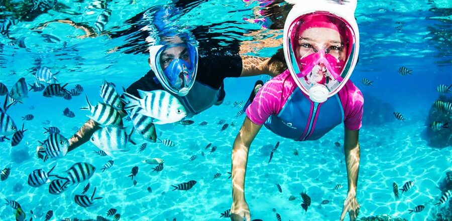 Puerto del Carmen: Dolphin-Watching Speedboat Tour with Swim - Searching for dolphins and whales in open water