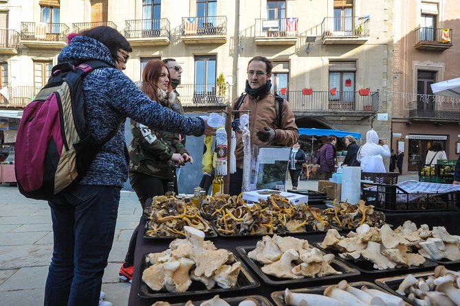 Pyrenees & Medieval Towns Small Group Tour from Barcelona - Weather, clothing, and the railway closure