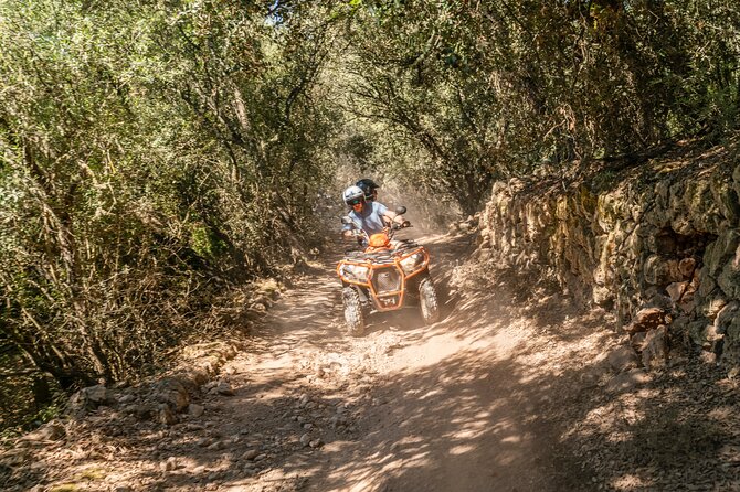 Quad Bike / ATV Tour - The summer bay, snorkeling, and optional cliff jump