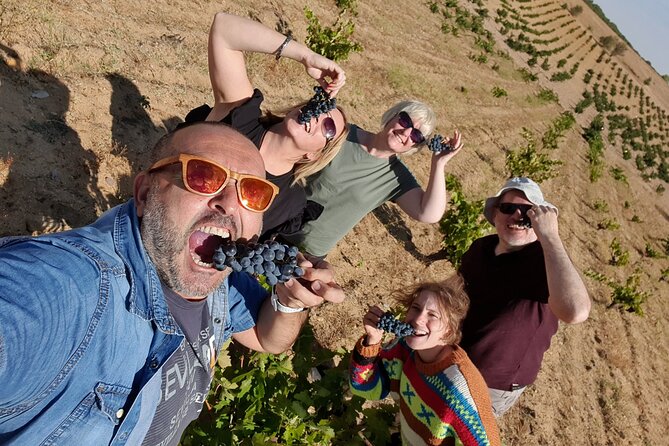 Ribera del Duero:4 Wineries, tasting & Lunch included from Madrid - Why Ribera del Duero makes a good day trip from Madrid