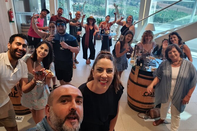 Ribera del Duero:4 Wineries, tasting & Lunch included from Madrid - Alvides: a 16th-century cellar and tiny-production wine