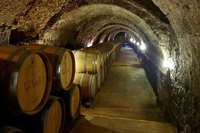 Ribera del Duero:4 Wineries, tasting & Lunch included from Madrid - First tastings: small producers and old cellar traditions