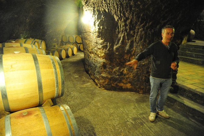 Ribera del Duero Wineries Guided Tour & Wine Tasting from Madrid - A Castilian lunch stop in Roa