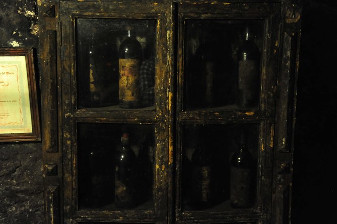 Ribera del Duero Wineries Guided Tour & Wine Tasting from Madrid - Guides make the long day work