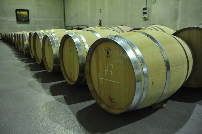 Ribera del Duero Wineries Guided Tour & Wine Tasting from Madrid - First winery: start with the grape and the bottle