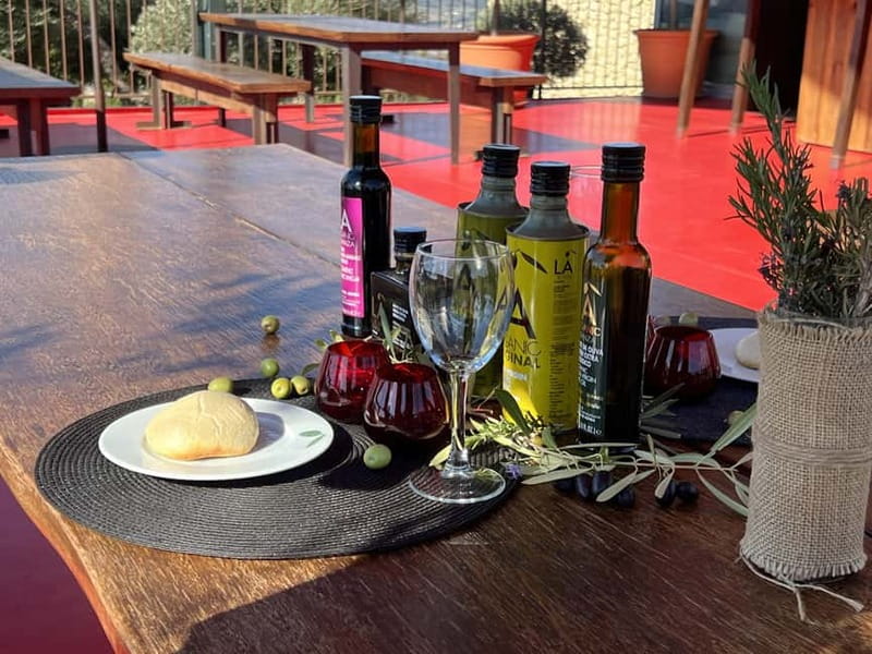 Ronda: LA Almazara LA Organic, Olive Oil Museum and Tasting - Why this olive oil tour feels different