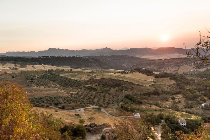 Ronda Village Guided Tour from Costa del Sol - The bullring visit and an important itinerary question