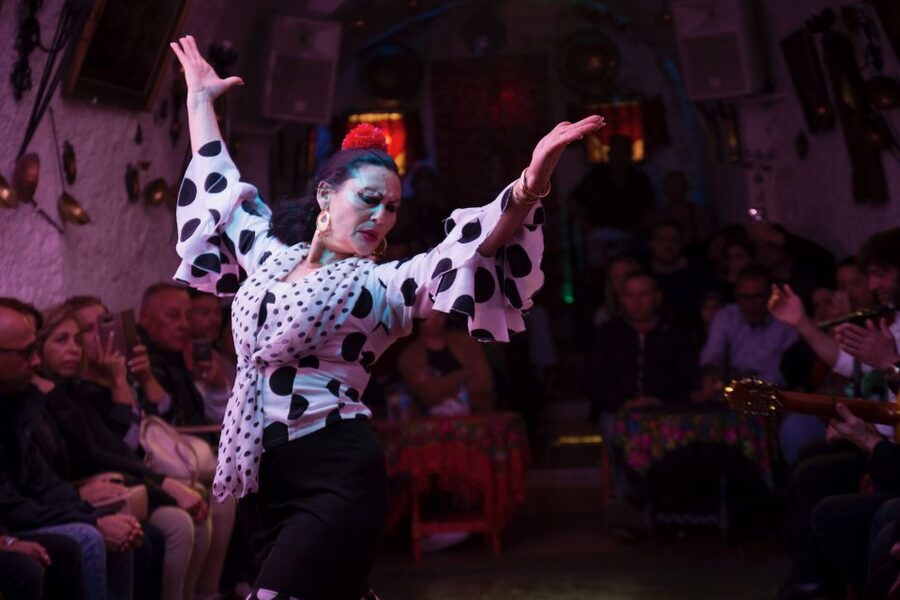 Sacromonte: Flamenco Show at Cuevas Los Tarantos Tickets - Small details that help you enjoy the performance