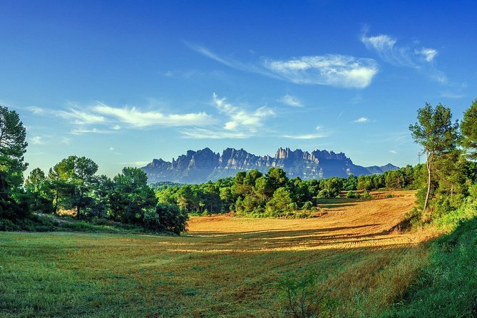 Sagrada Familia & Montserrat Small Group Tour with Hotel pick-up - Sagrada Familia requires the extra €26