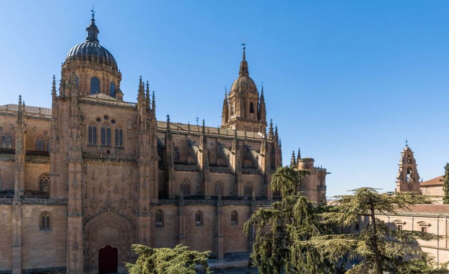 Salamanca: Cathedral of Salamanca Ticket with Audio Guide - Key points to know before you go