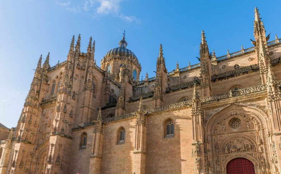 Salamanca: Cathedral of Salamanca Ticket with Audio Guide - Two Salamanca cathedrals, one remarkable visit