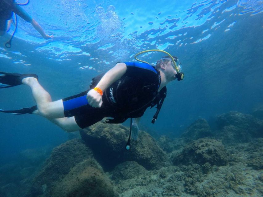 Salou: Scuba Diving for Beginners - A calm introduction to scuba on the Salou coast