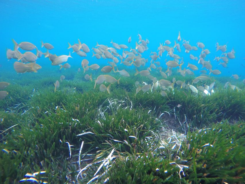San José: Cabo de Gata Natural Park Kayak and Snorkel Tour - Timing, weather, and practical planning