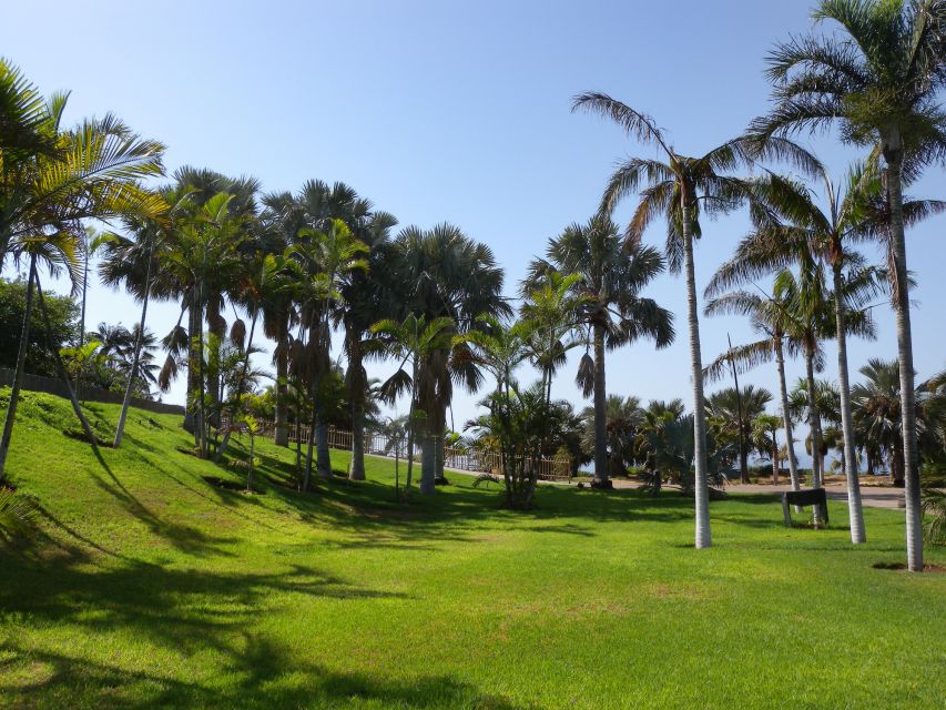 Santa Cruz de Tenerife Palmetum Entry Ticket - From rubbish dump to Santa Cruz botanical garden