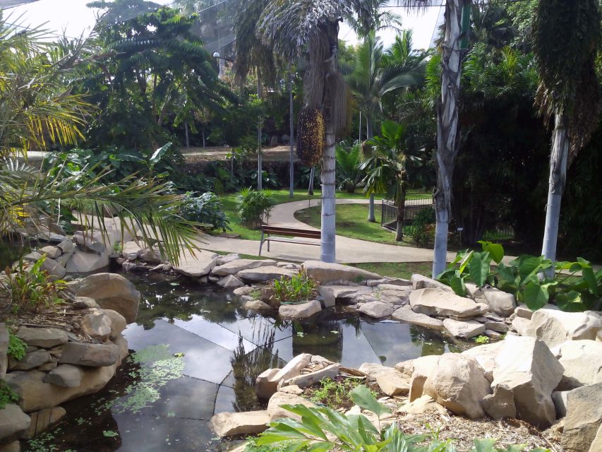 Santa Cruz de Tenerife Palmetum Entry Ticket - How much time should you allow?