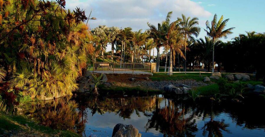 Santa Cruz de Tenerife Palmetum Entry Ticket - What you see across the 12 hectares