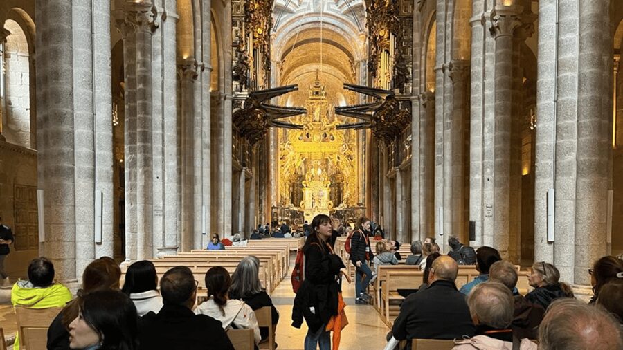 Santiago: Cathedral & Museum Tour + Pórtico of Glory Option - Who will get the most from this tour?