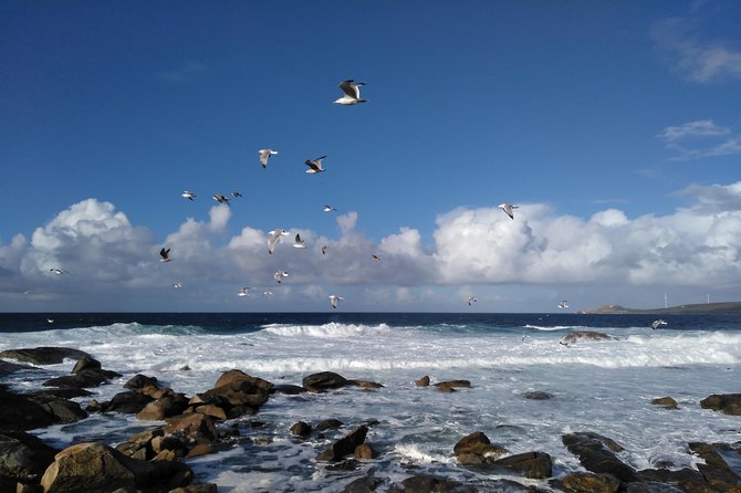 Santiago de Compostela: Finisterre, Muxía & Costa da Morte - How the schedule feels on the road
