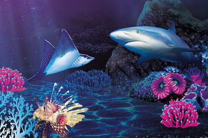 Sealife Benalmadena Entrance Ticket - Is $25.23 a fair price?